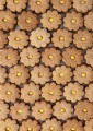 markizy-kruche-maslane-z-ganache-mango-marakuja-iga-sarzynska